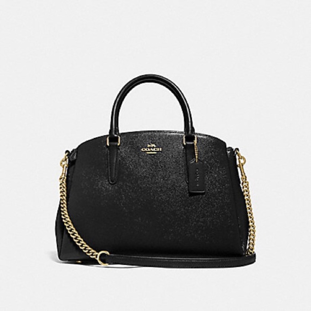 NWOT Coach F32017 Sage Carryall